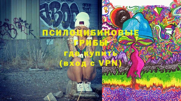 ешки Арсеньев
