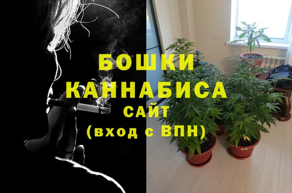 ешки Арсеньев