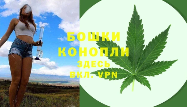 ешки Арсеньев