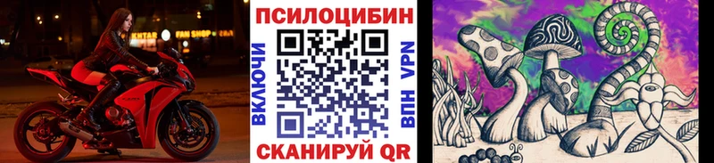 Псилоцибиновые грибы Cubensis  Калач-на-Дону 