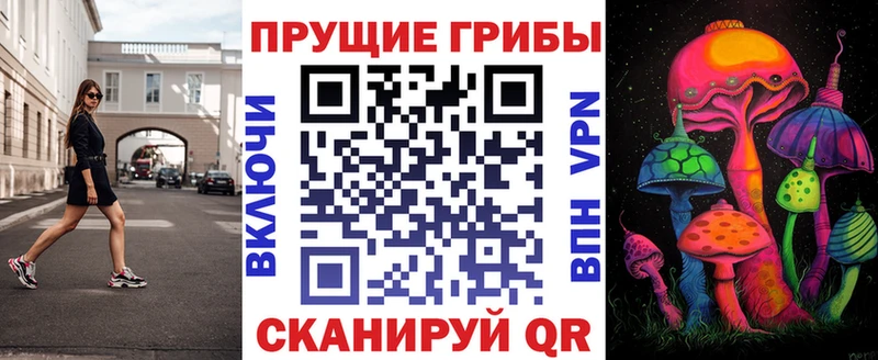 Галлюциногенные грибы Psilocybine cubensis Калач-на-Дону